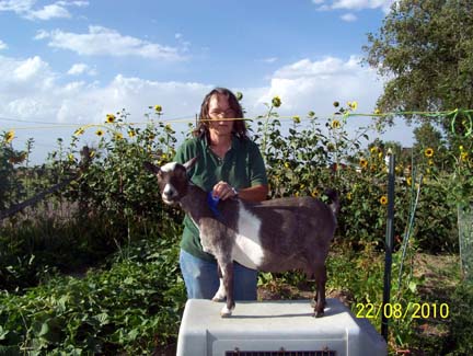 Northern Dawn Ethel Ethel